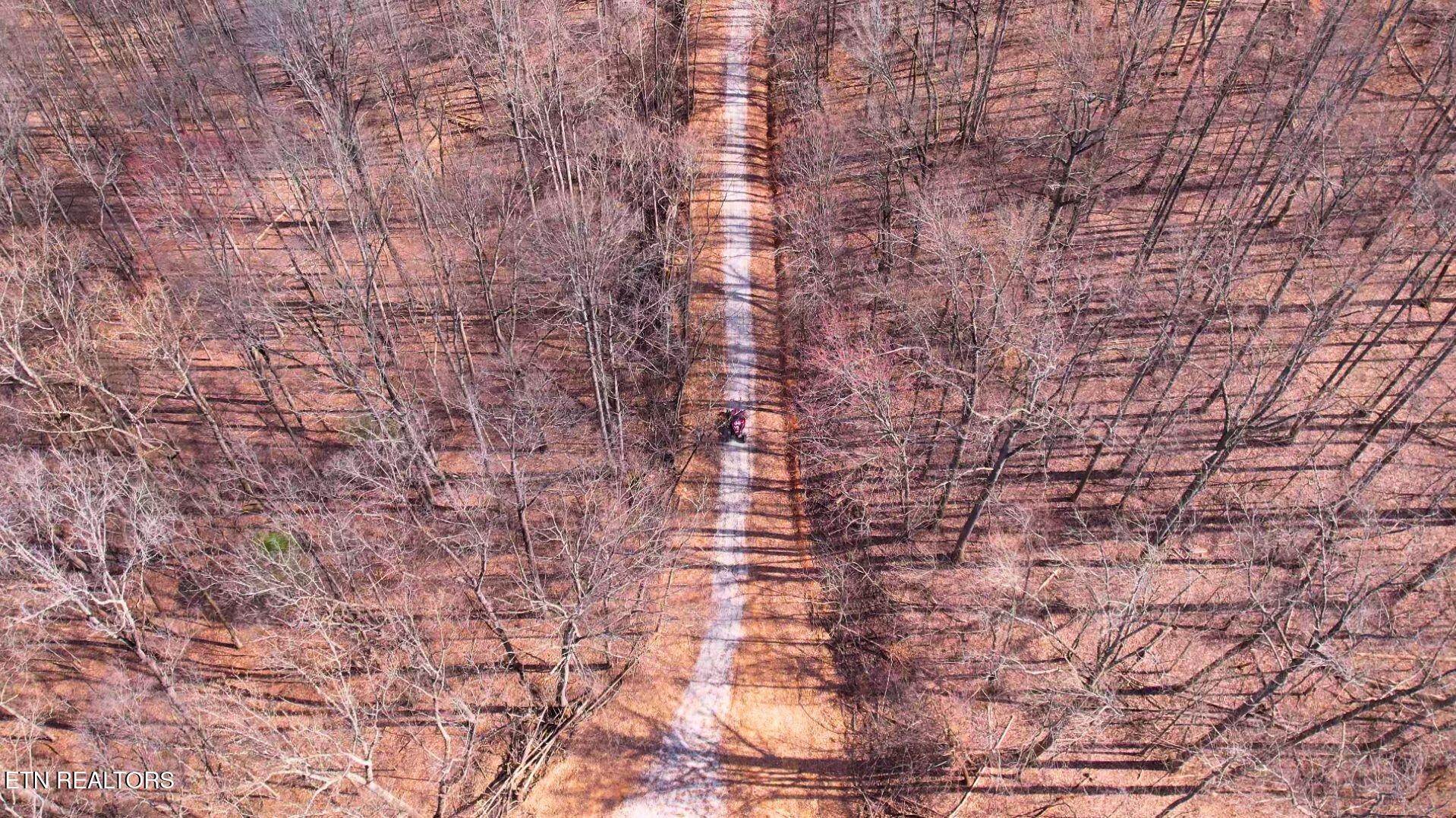 2297 Shady Cove Road Caryville, TN 37714 - Photo 23 of 60 Gallery Image 23