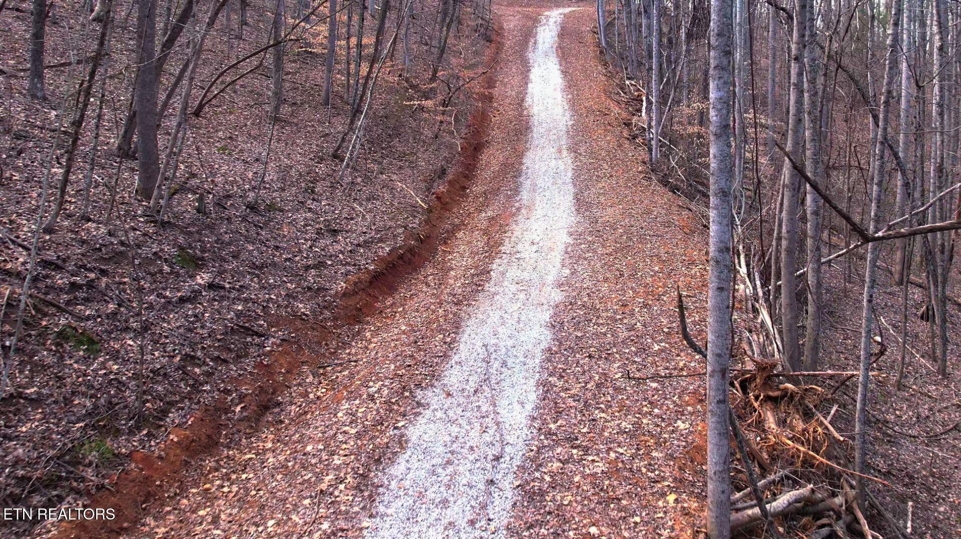 2297 Shady Cove Road Caryville, TN 37714 - Photo 26 of 60 Gallery Image 26