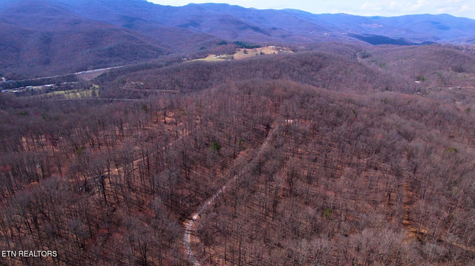 2297 Shady Cove Road Caryville, TN 37714 - Photo 29 of 60 Gallery Image 29