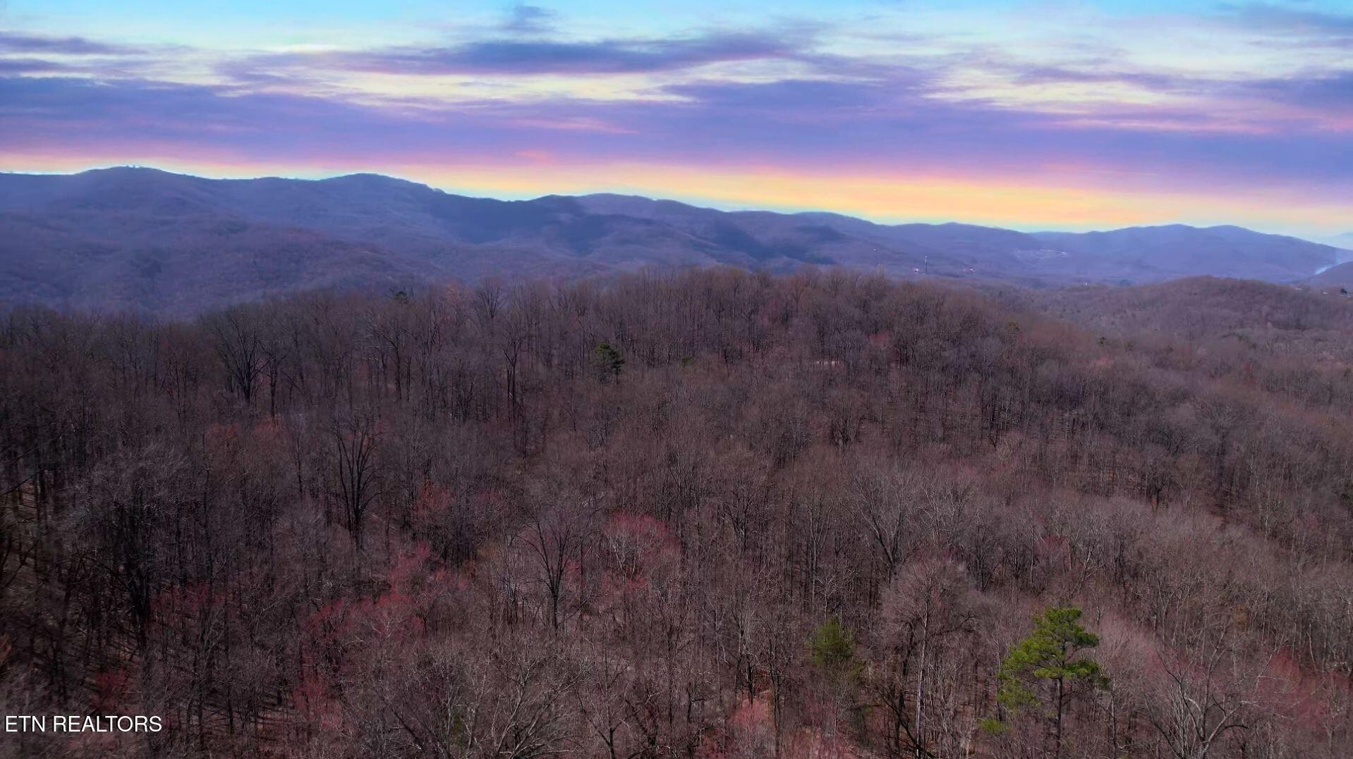 2297 Shady Cove Road Caryville, TN 37714 - Photo 30 of 60 Gallery Image 30