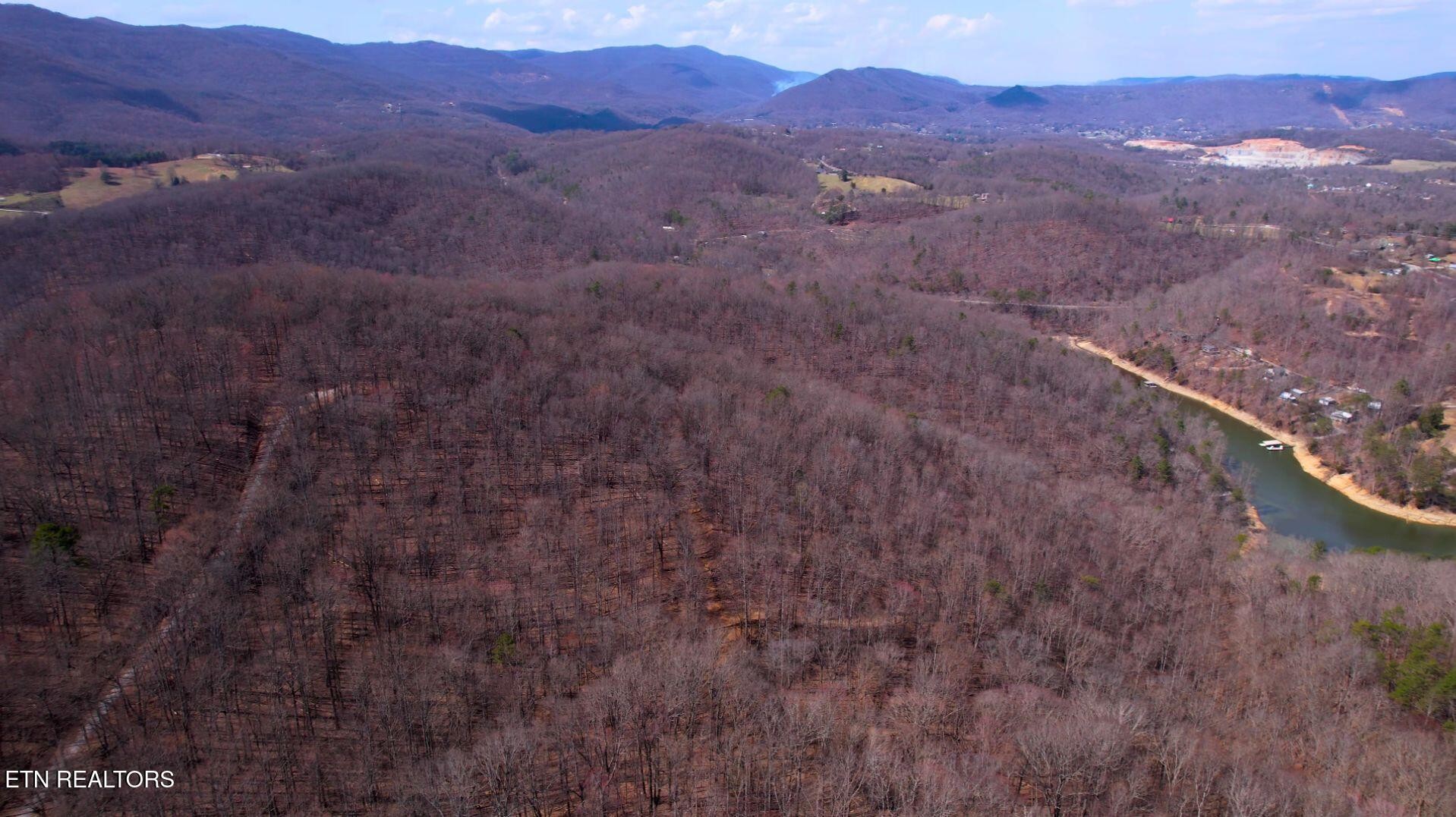 2297 Shady Cove Road Caryville, TN 37714 - Photo 31 of 60 Gallery Image 31