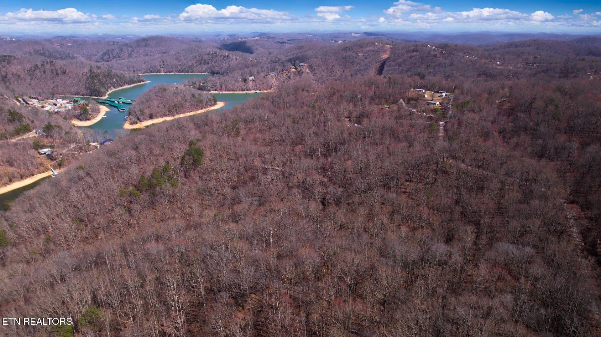 2297 Shady Cove Road Caryville, TN 37714 - Photo 32 of 60 Gallery Image 32
