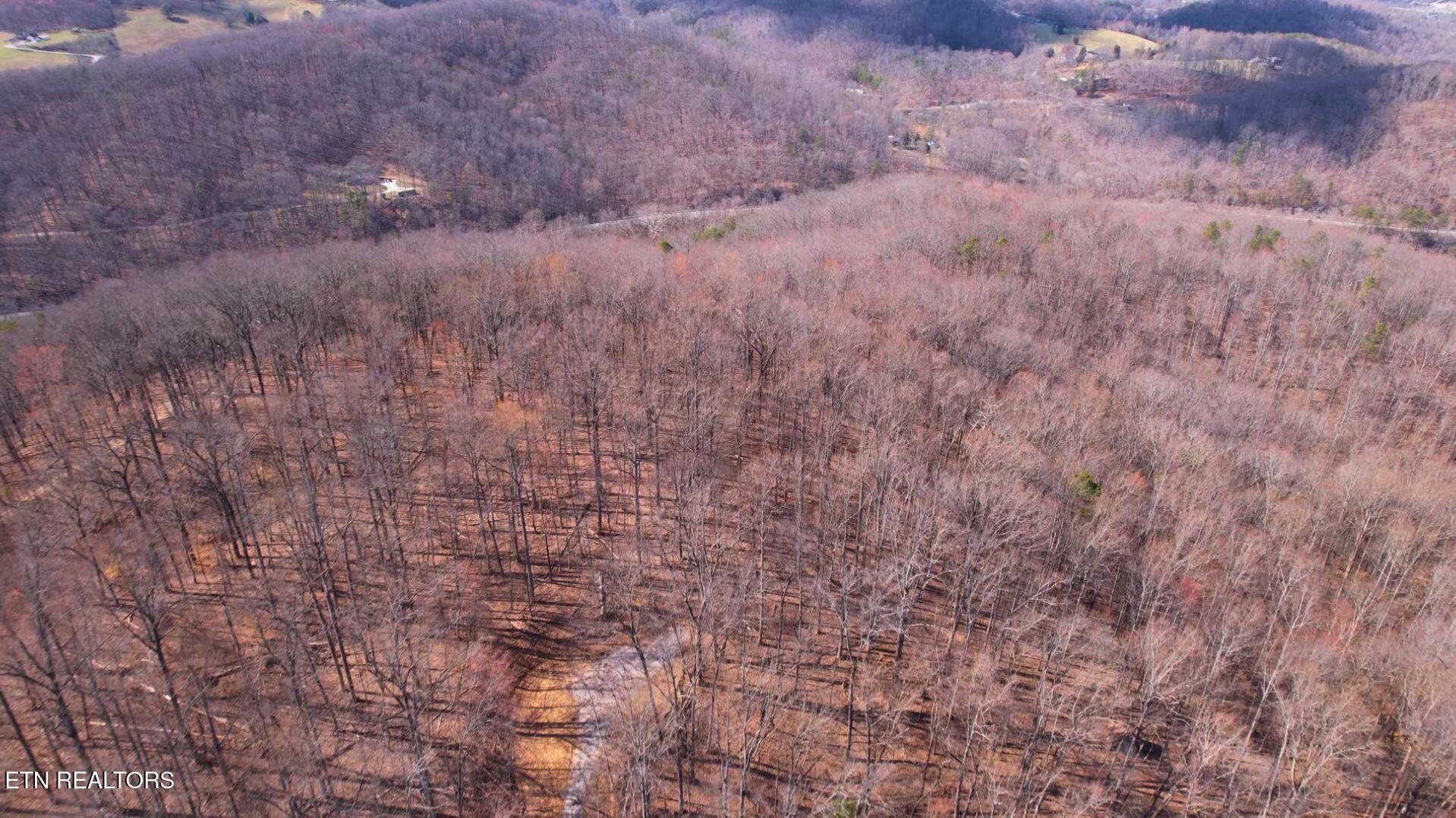2297 Shady Cove Road Caryville, TN 37714 - Photo 36 of 60 Gallery Image 36