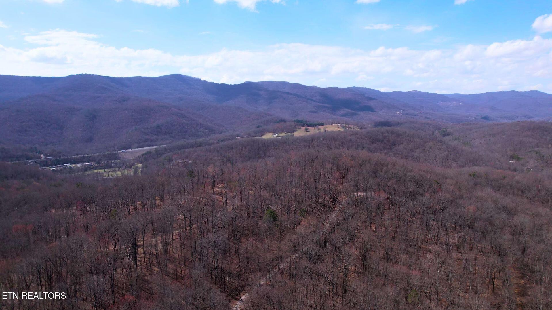 2297 Shady Cove Road Caryville, TN 37714 - Photo 37 of 60 Gallery Image 37
