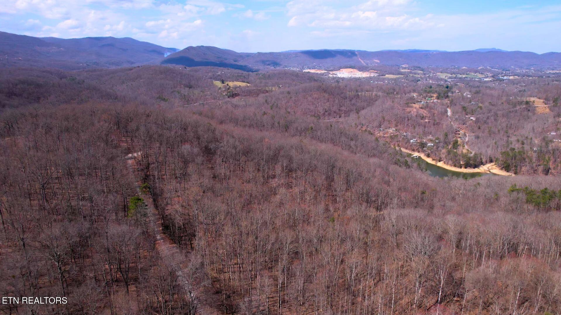 2297 Shady Cove Road Caryville, TN 37714 - Photo 40 of 60 Gallery Image 40