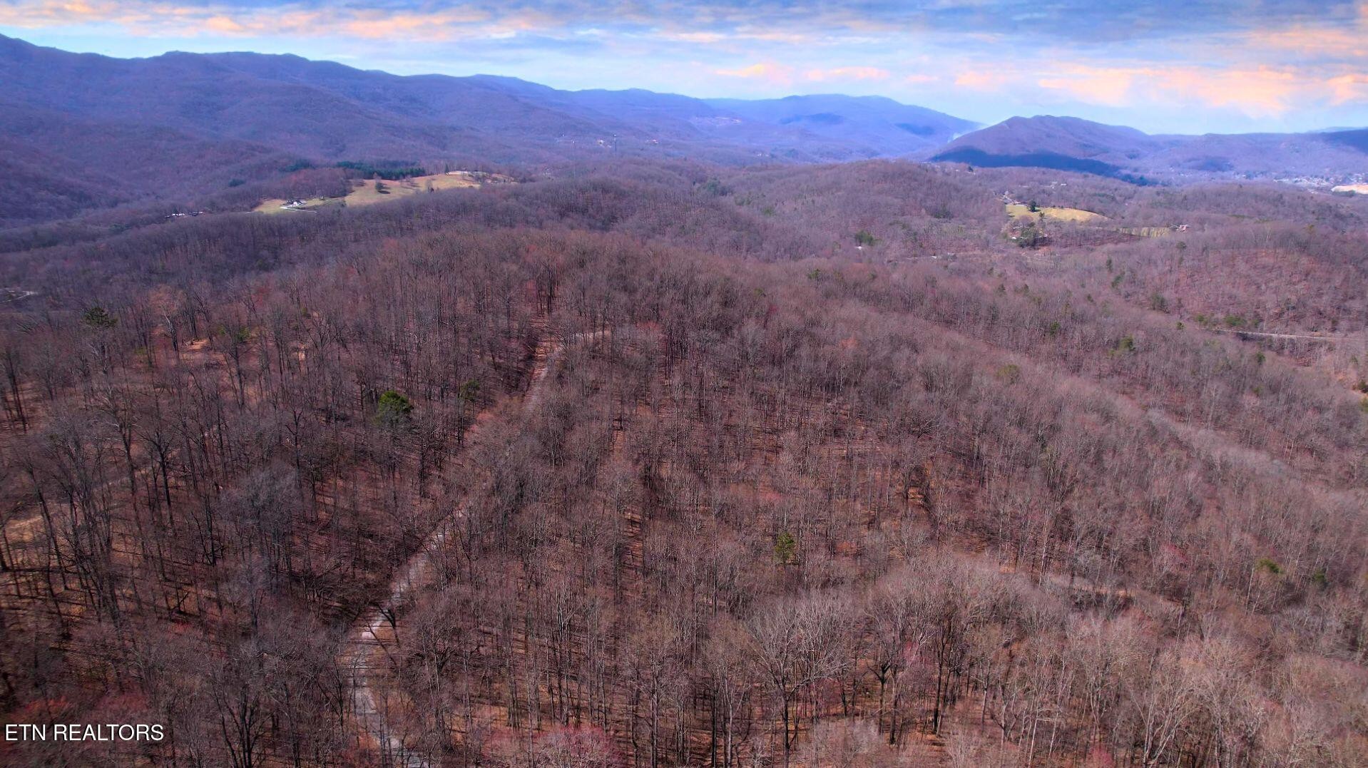 2297 Shady Cove Road Caryville, TN 37714 - Photo 41 of 60 Gallery Image 41