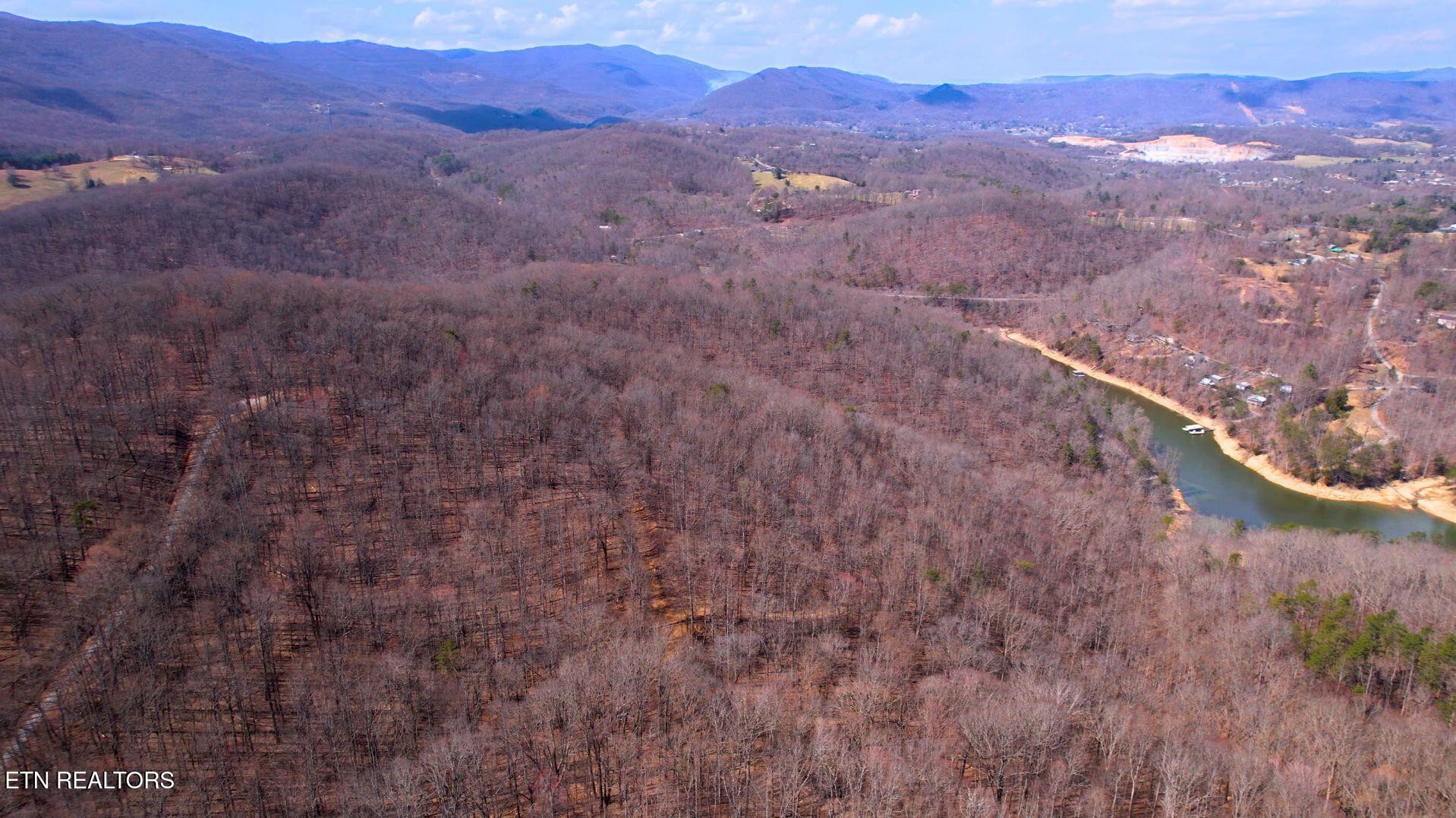 2297 Shady Cove Road Caryville, TN 37714 - Photo 44 of 60 Gallery Image 44