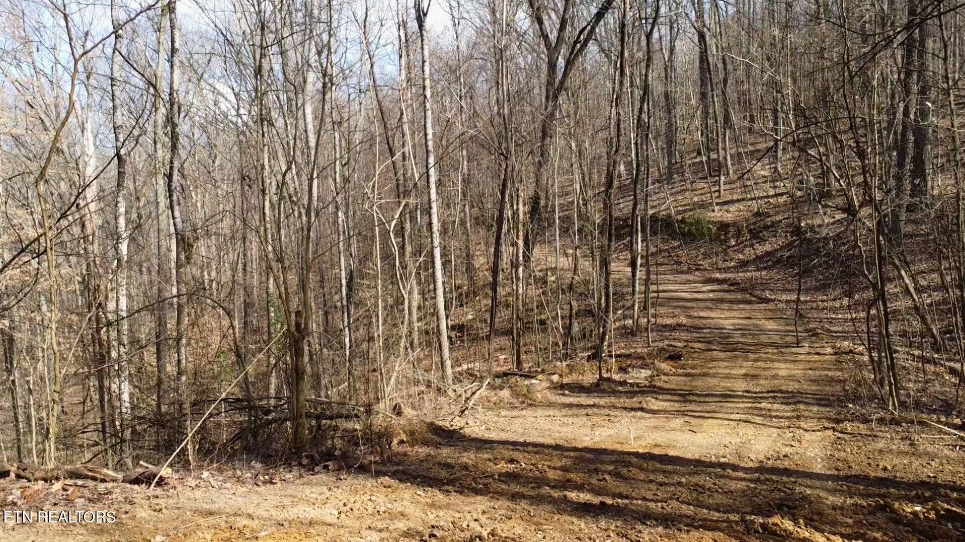 2297 Shady Cove Road Caryville, TN 37714 - Photo 47 of 60 Gallery Image 47
