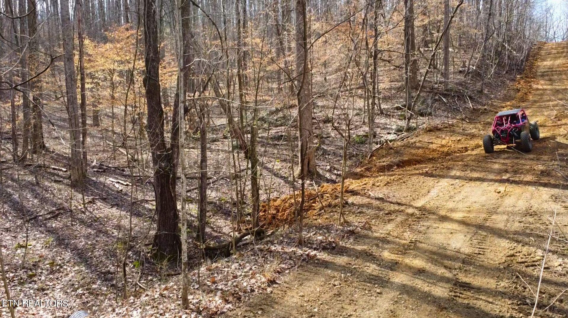 2297 Shady Cove Road Caryville, TN 37714 - Photo 50 of 60 Gallery Image 50