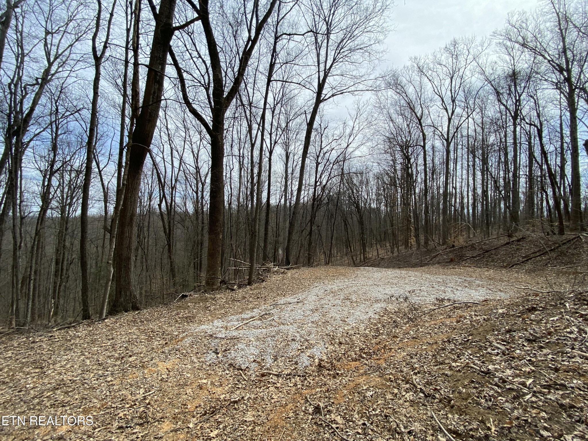 2297 Shady Cove Road Caryville, TN 37714 - Photo 5 of 60 Gallery Image 5