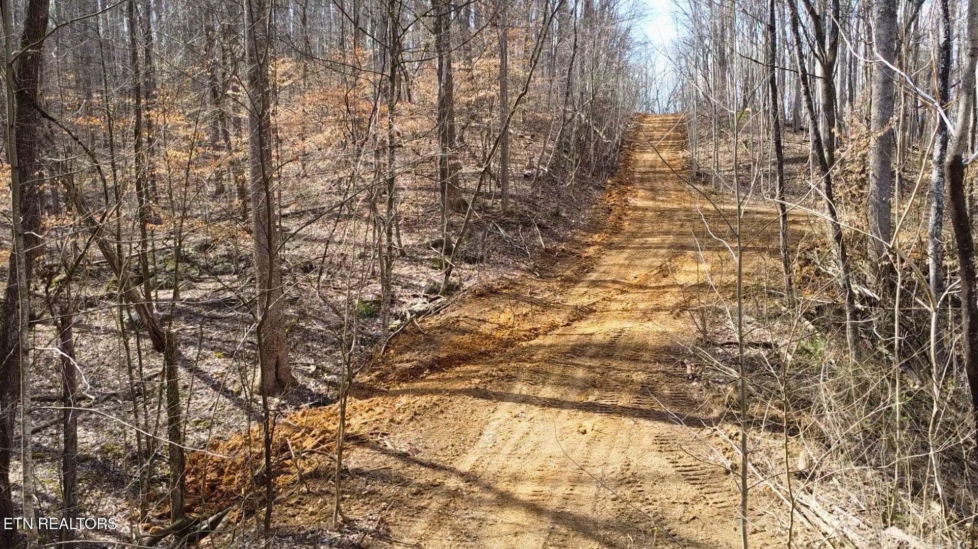 2297 Shady Cove Road Caryville, TN 37714 - Photo 52 of 60 Gallery Image 52