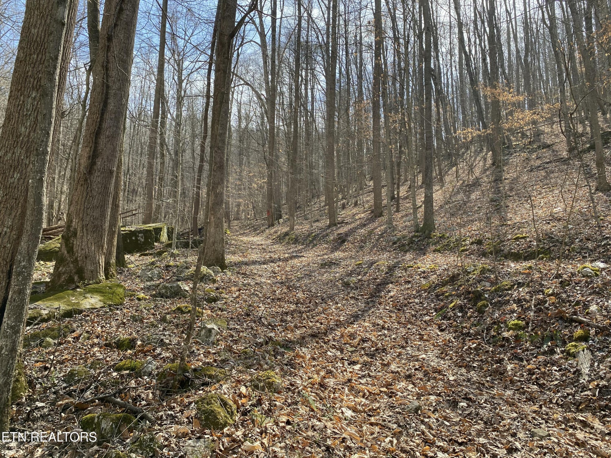 2297 Shady Cove Road Caryville, TN 37714 - Photo 60 of 60 Gallery Image 60