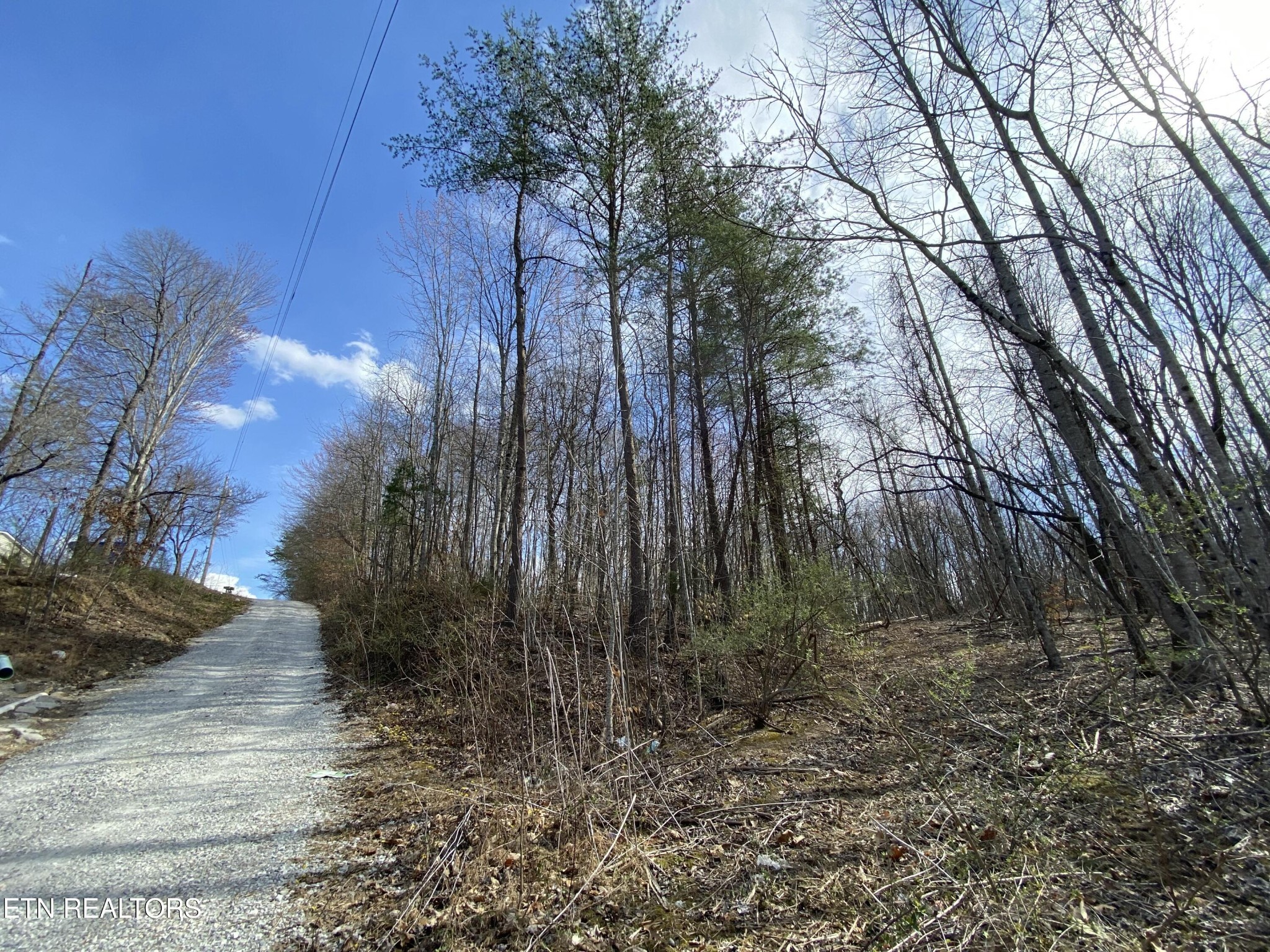 2297 Shady Cove Road Caryville, TN 37714 - Photo 6 of 60 Gallery Image 6