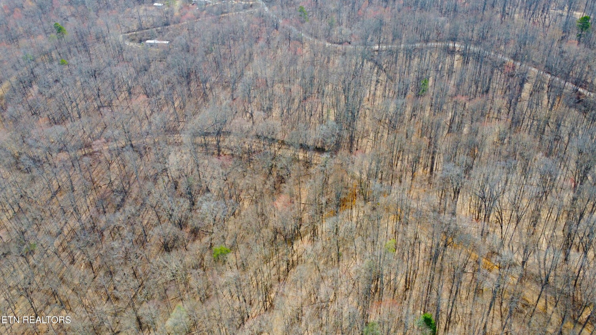 2297 Shady Cove Road Caryville, TN 37714 - Photo 10 of 60 Gallery Image 10