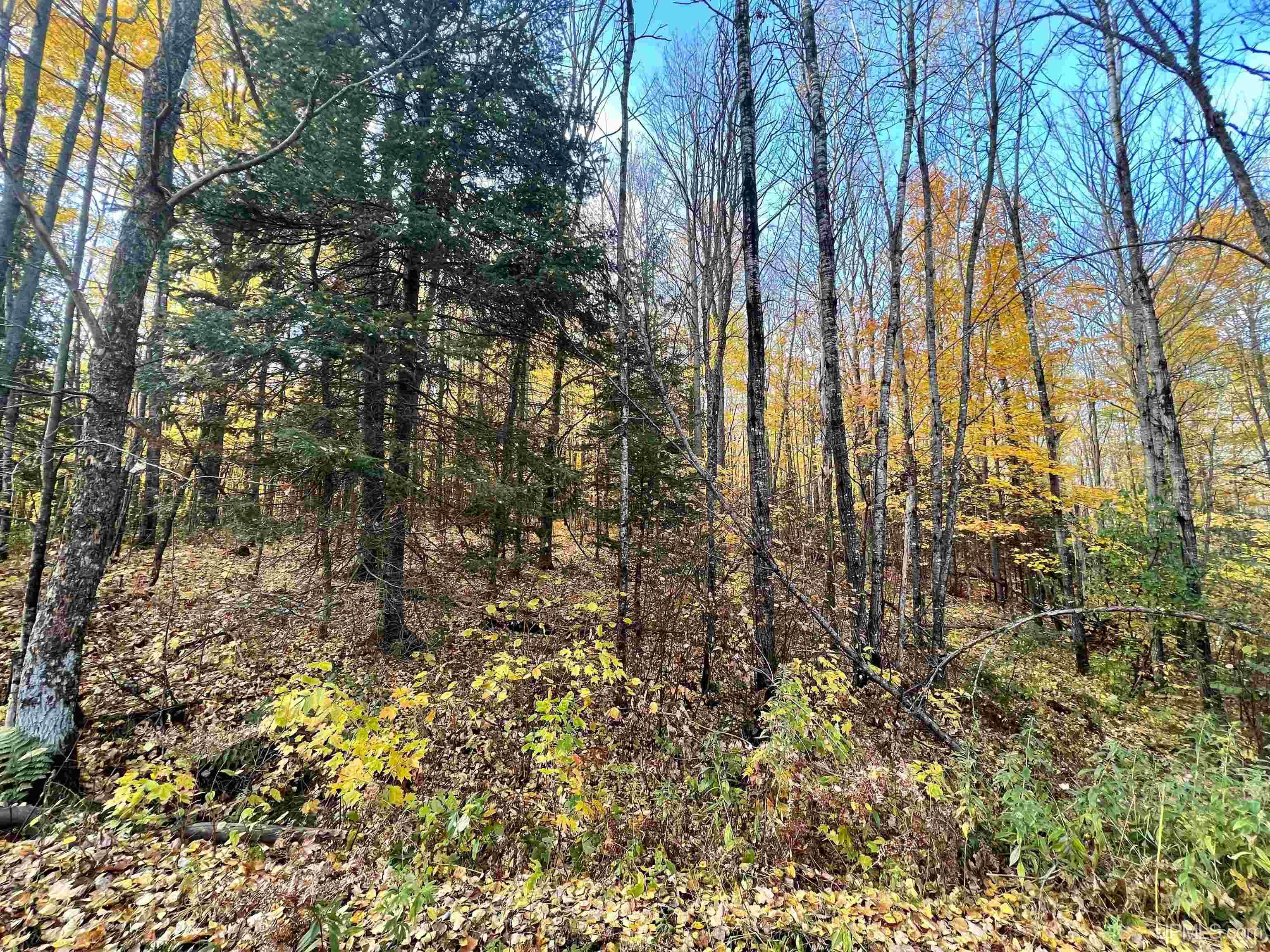 Tbd Wagner Lake Road Iron River, MI 49935 - Photo 2 of 4