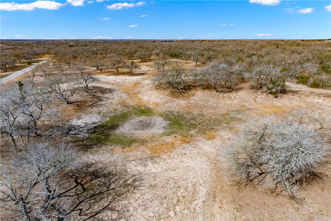 53 Sunny Vale Mathis, TX 78368 - Photo 15 of 19