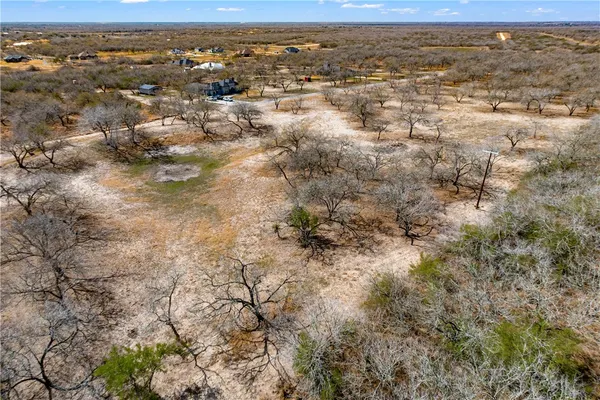 a close up of a plant in a field