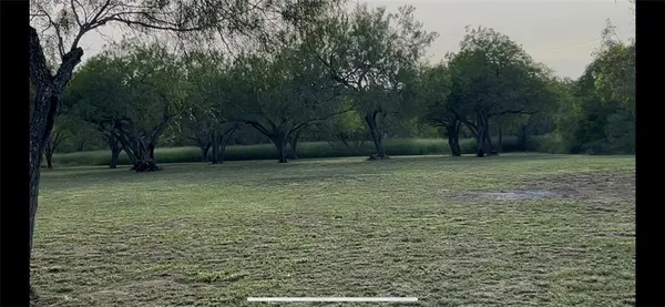 a view of a yard with a trees