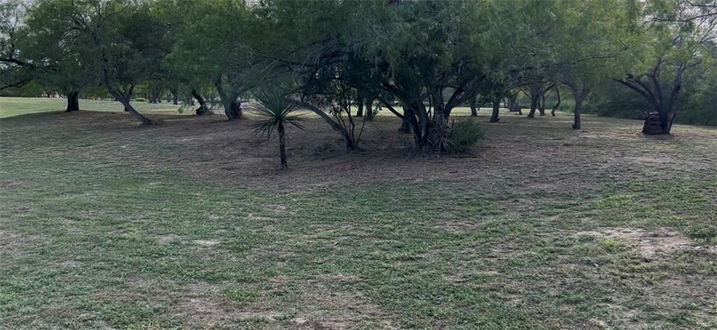 53 Sunny Vale Mathis, TX 78368 - Photo 6 of 19