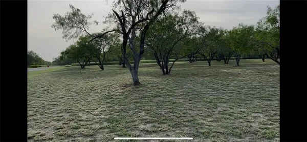 a view of a yard with a tree