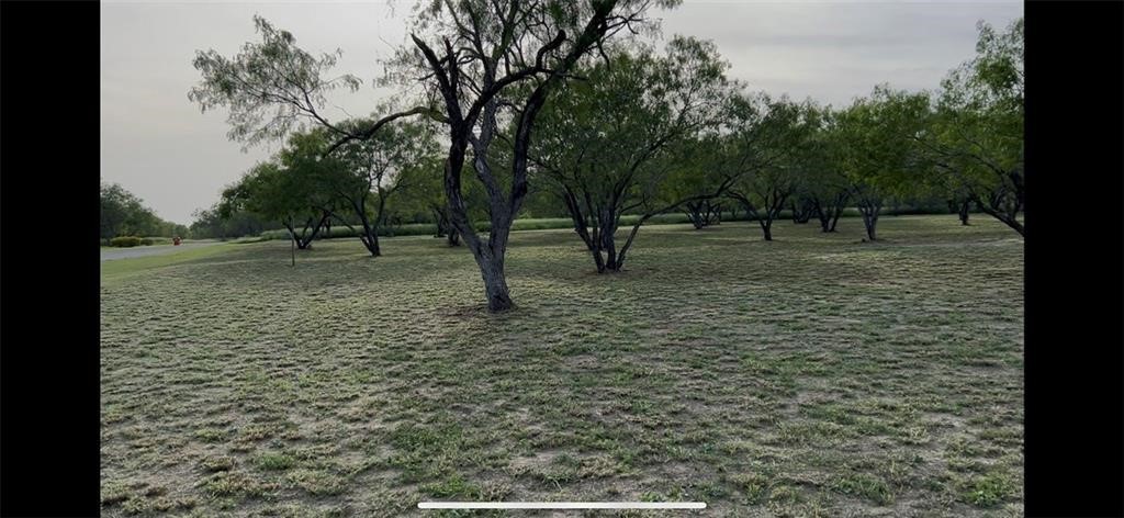 53 Sunny Vale Mathis, TX 78368 - Photo 7 of 19