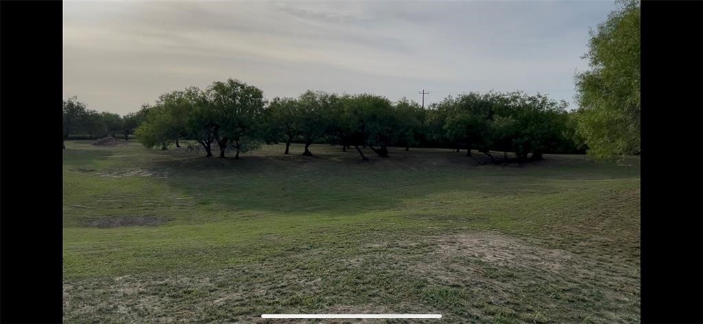 53 Sunny Vale Mathis, TX 78368 - Photo 8 of 19