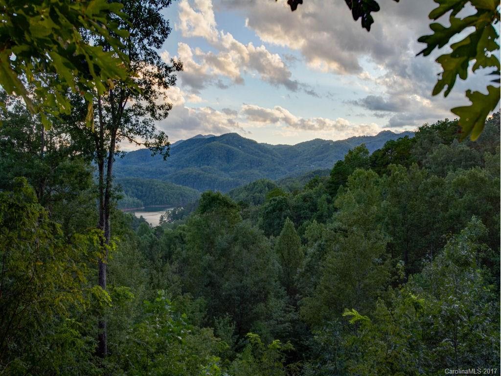 686 Fontana View Road, Unit 56 Bryson City, NC 28713 - Photo 24 of 24 a view of a city with lush green forest