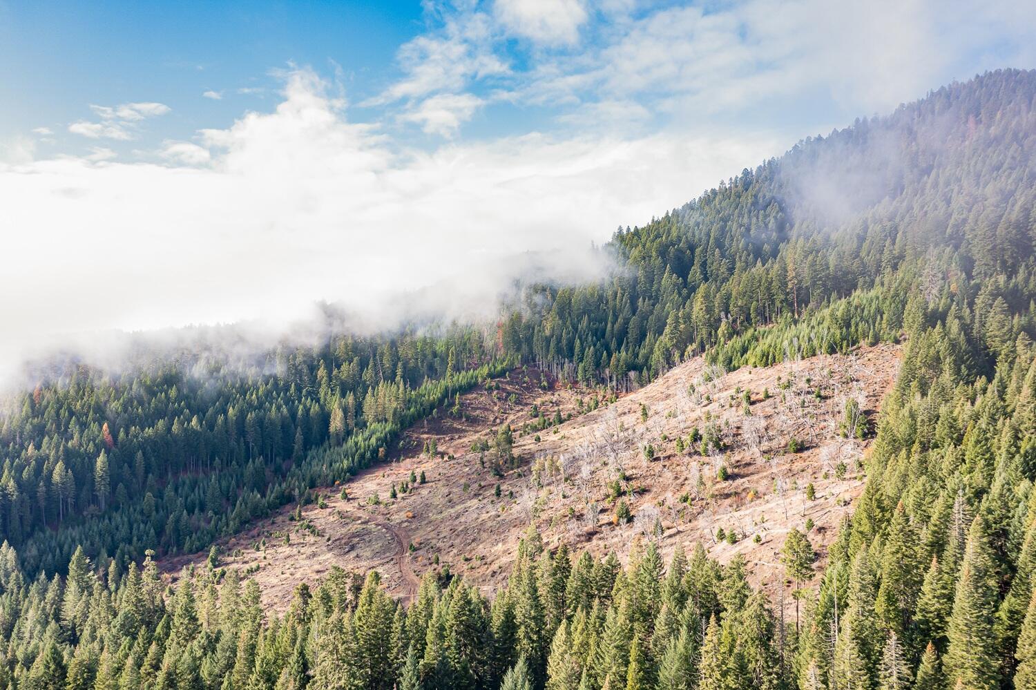 River Road Trail, OR 97541 - Photo 20 of 20 DJI_0988HDR27