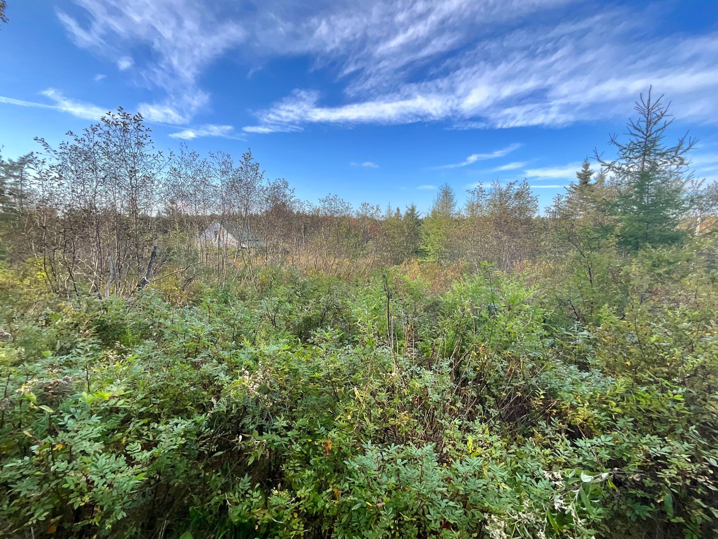 7-8 Bay Road Jonesboro, ME 04648 - Photo 2 of 10 View of Lot