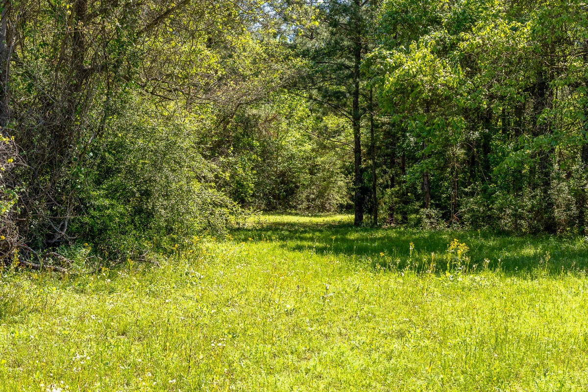 Tbd Calvary Road Willis, TX 77318 - Photo 15 of 22 Gallery Image 15