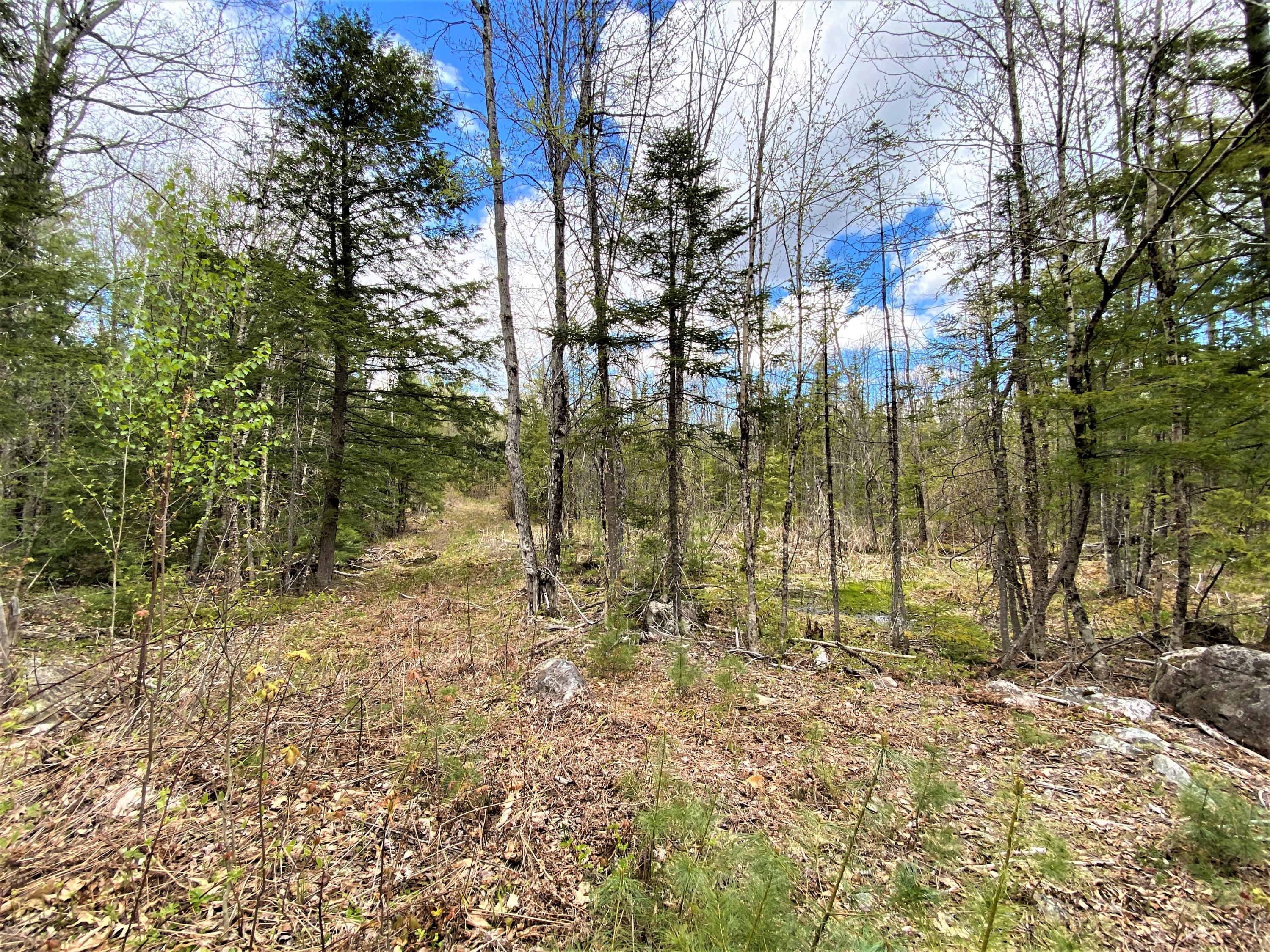 0 Libby Road, Unit LOT #1 West Newfield, ME 04095 - Photo 4 of 14 IMG_13672