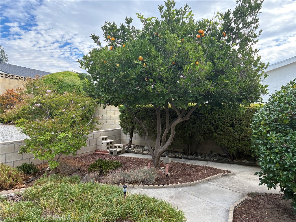 10456 Hamilton Street Rancho Cucamonga, CA 91701 - Photo 17 of 17 a view of a park with a tree