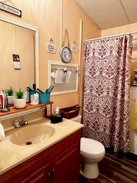 6669 Northwest 36th Lane Bell, FL 32619 - Photo 28 of 39 a bathroom with a sink and a toilet