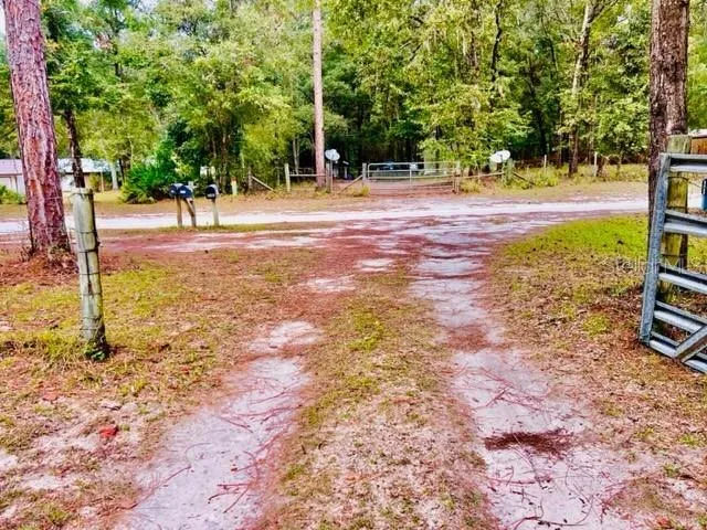 a backyard of a house with lots of green space