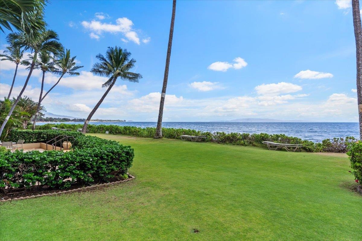 36 South Kihei Road, Unit 103 Kihei, HI 96753 - Photo 33 of 37 a view of a yard with a palm tree