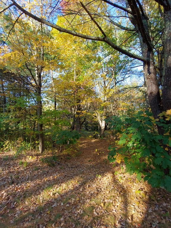 0 Apple Road Brimfield, MA 01010 - Photo 1 of 2 Gallery Image 1