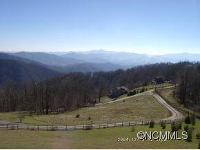 245 Windswept Ridge Road Canton, NC 28716 - Photo 4 of 24