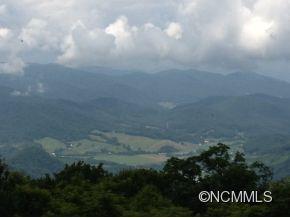 245 Windswept Ridge Road Canton, NC 28716 - Photo 6 of 24