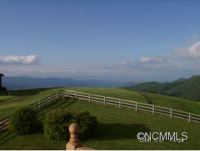 245 Windswept Ridge Road Canton, NC 28716 - Photo 7 of 24