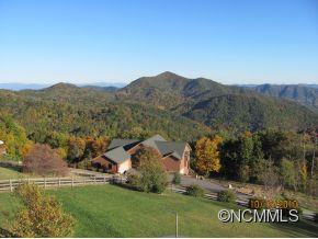 245 Windswept Ridge Road Canton, NC 28716 - Photo 8 of 24