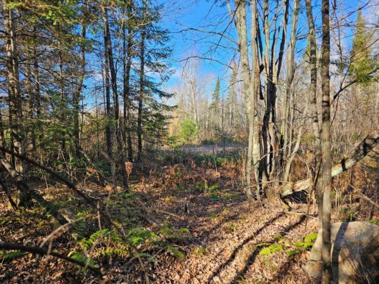 5913 North Adventures Trail Mercer, WI 54547 - Photo 4 of 15 Gallery Image 4