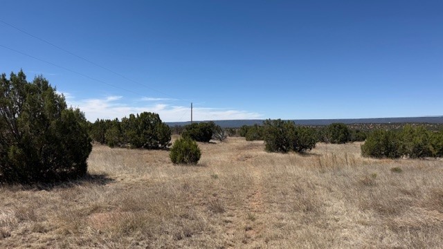 B55 Ribera Nm 87565 Ribera, NM 87560 - Photo 12 of 27