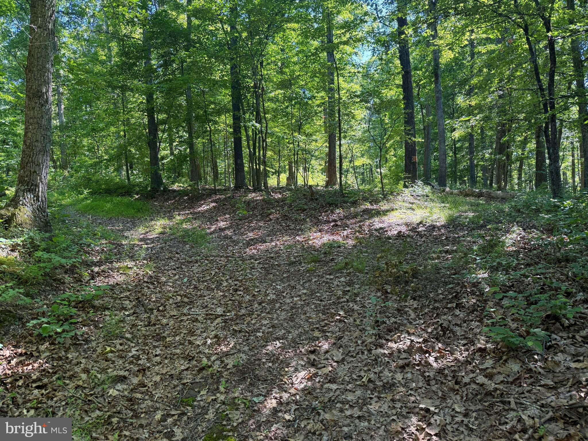 750 Hickory Corner Road Augusta, WV 26704 - Photo 41 of 49
