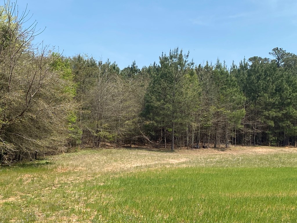 0 Banks Mill Road Southeast North Augusta, SC 29860 - Photo 3 of 11