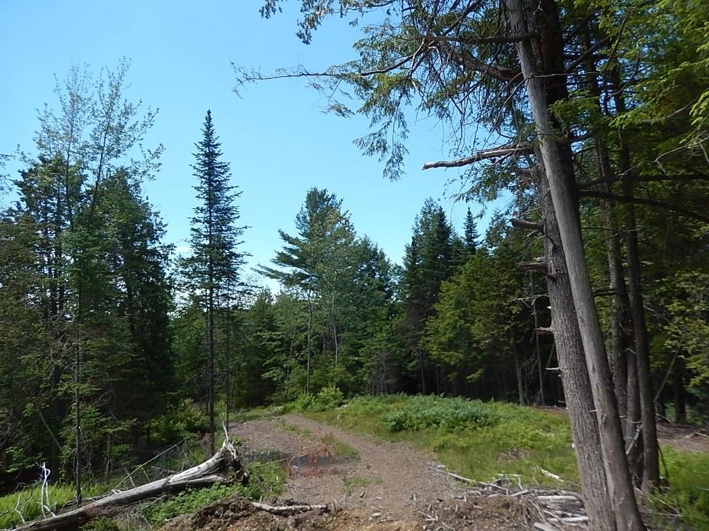 182 Waning Road Unity, ME 04988 - Photo 12 of 17 Woods road leading to back acreage.
