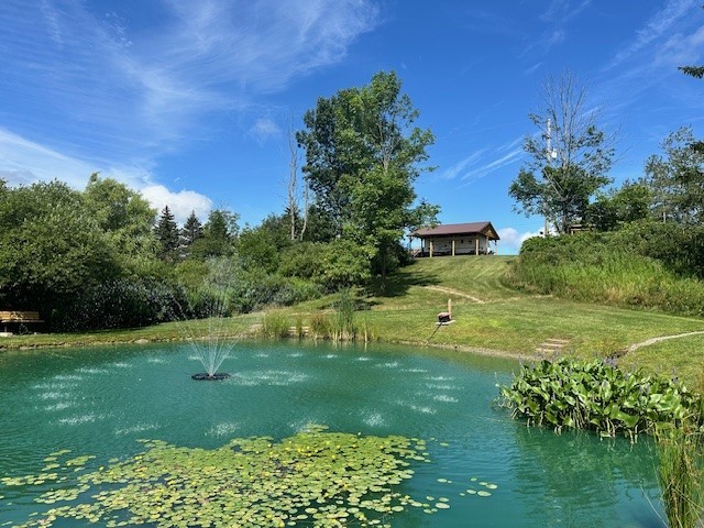 10284 Mattoon Road Prattsburgh, NY 14873 - Photo 16 of 16 WHY wouldnt you WANT this ???