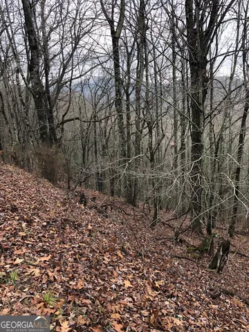 $45,000 | 0 Browns Mountain Road, Scaly Mountain, NC 28775