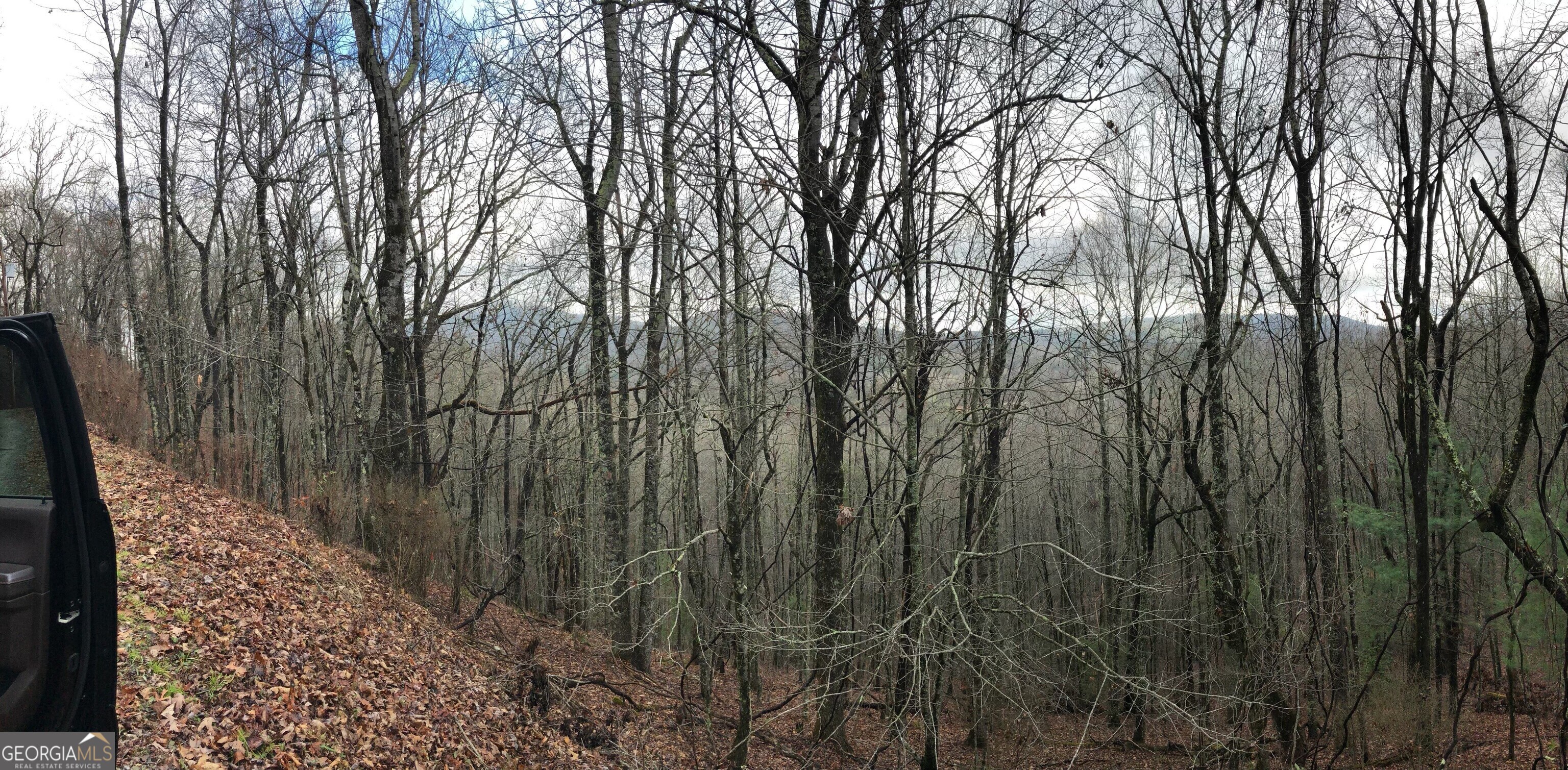 0 Browns Mountain Road Scaly Mountain, NC 28775 - Photo 4 of 4