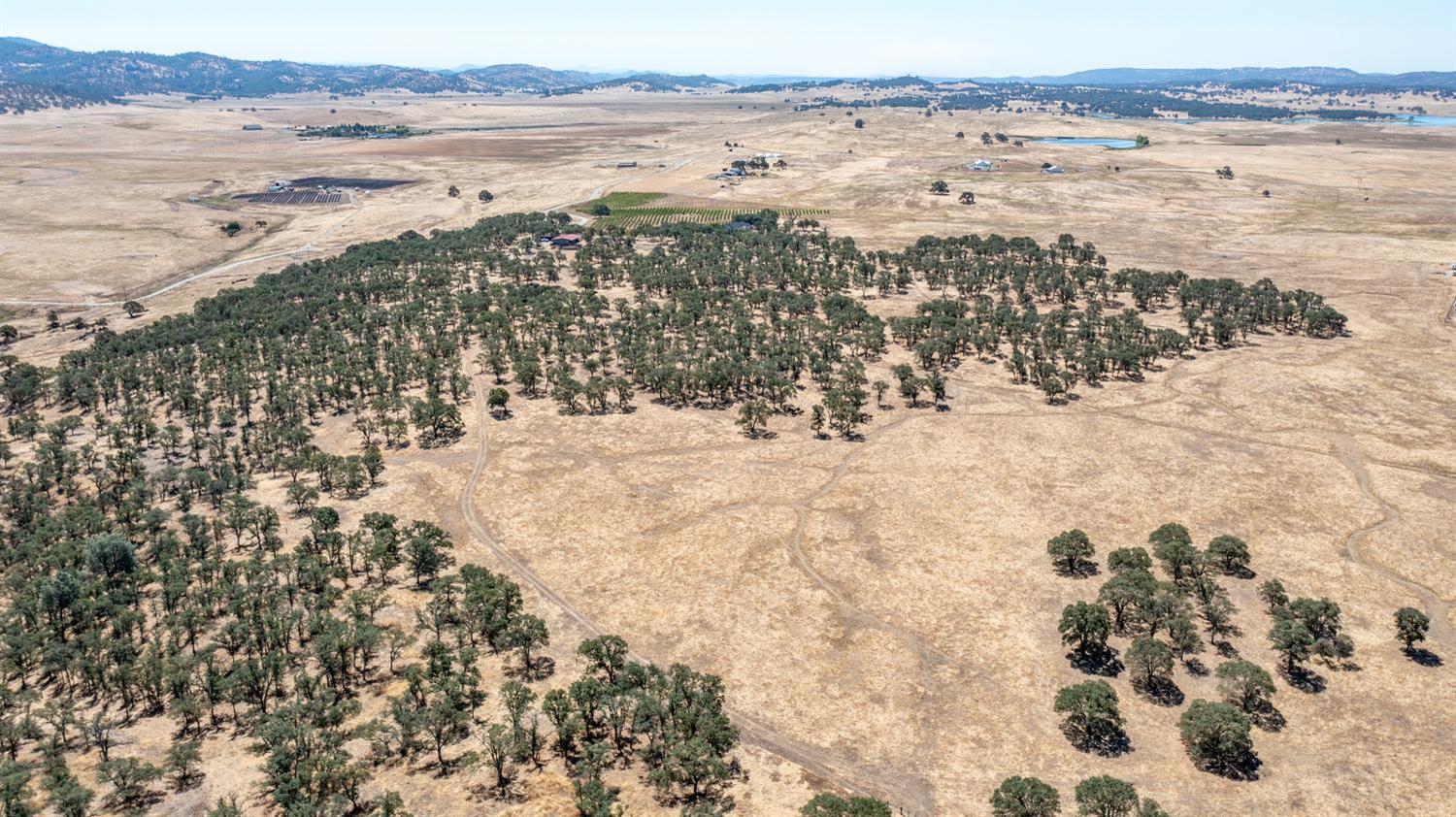 12550 Hogan Dam Road Farmington, CA 95230 - Photo 50 of 75