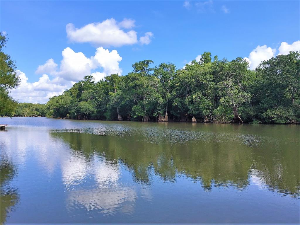 Tbd Myers Road Wewahitchka, FL 32465 - Photo 12 of 14